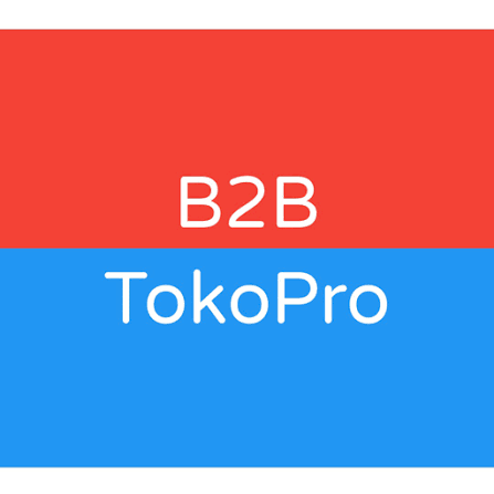 B2B TokoPro